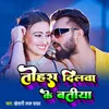 About Tohra Dilwa Ke Batiya Song